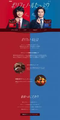 ポリフェノールショコラのLPデザイン（スイーツ・スナック菓子／レッド系／シンプル系）PC版