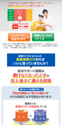 給与サポート保険