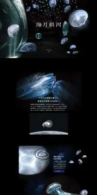 海月銀河のLPデザイン（サービス・保険・金融／ブラック系／神秘系）PC版