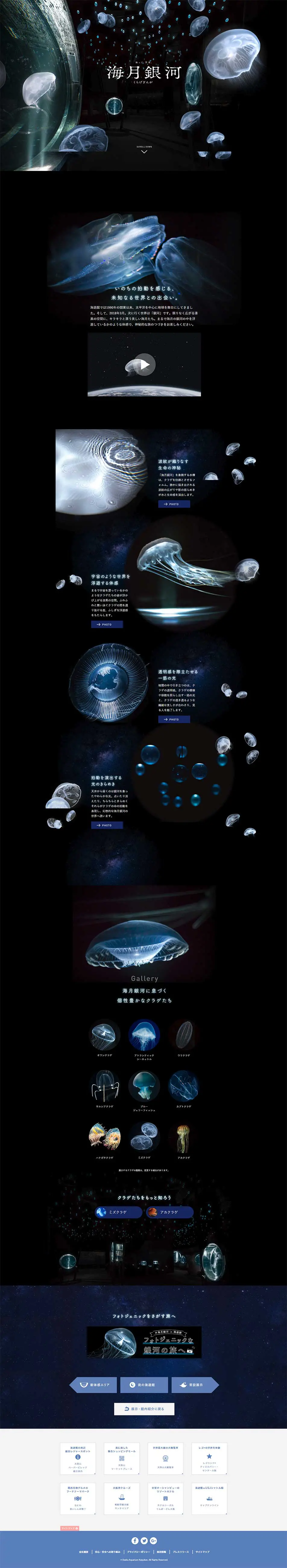 Kurageginga LP design (Services, Insurance, and Finance / Black-colored / Mystical) PC version