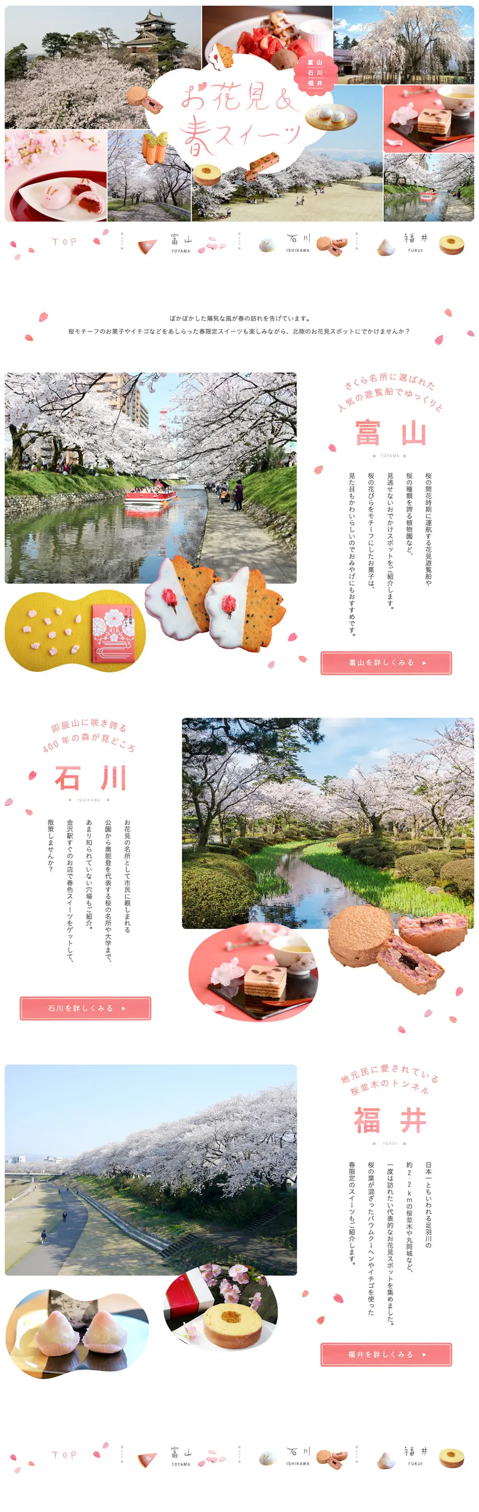 Enjoy cherry blossom viewing & spring sweets at famous cherry blossom spots in Toyama, Ishikawa, Fukui! [MyFave] LP design (Travel & Outdoor / Pink shades / Cute style) PC version