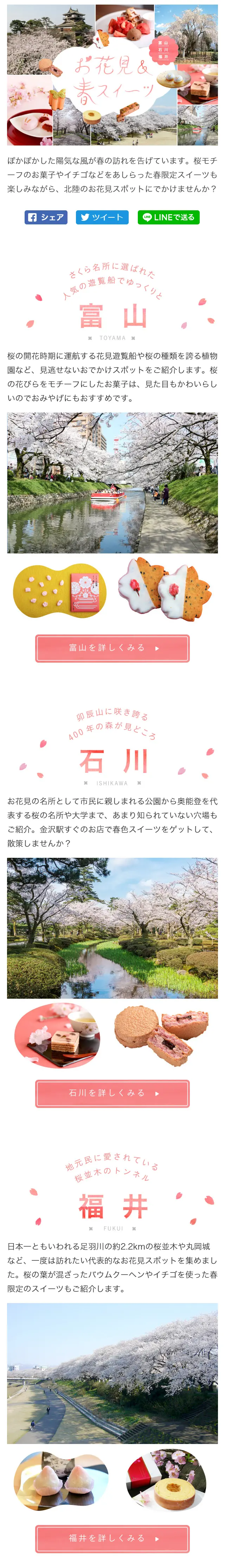 Enjoy cherry blossom viewing & spring sweets at famous cherry blossom spots in Toyama, Ishikawa, Fukui! [MyFave] LP design (Travel & Outdoor / Pink shades / Cute style) Mobile version