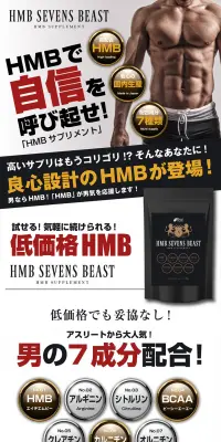HMB SEVENS BEASTのLPデザイン（健康・美容食品・サプリ／オレンジ系／かっこいい系）PC版