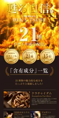 でかつぶのLPデザイン（健康・美容食品・サプリ／ゴールド系／力強い系）PC版