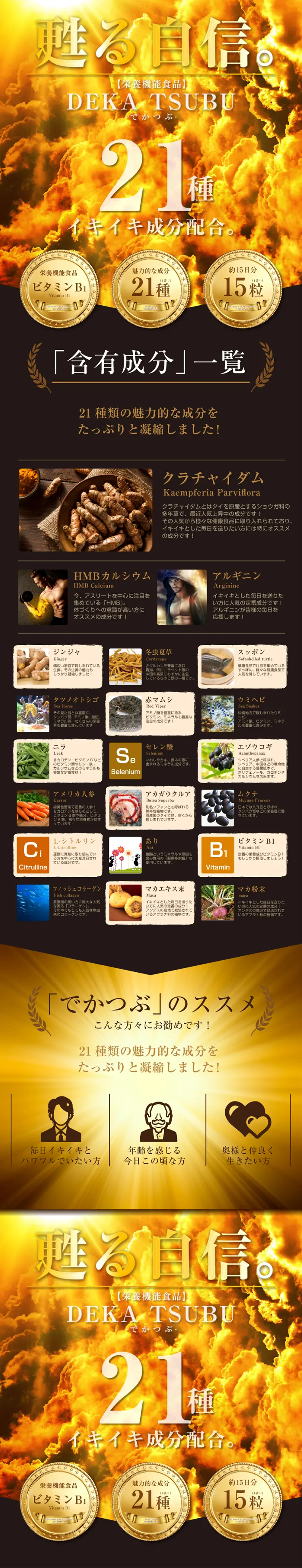 Dekatsubu LP design (Health and Beauty Foods and Supplements / Gold tones / Strong) PC version