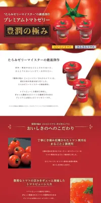 豊潤の極みのLPデザイン（スイーツ・スナック菓子／レッド系／キレイ系）PC版