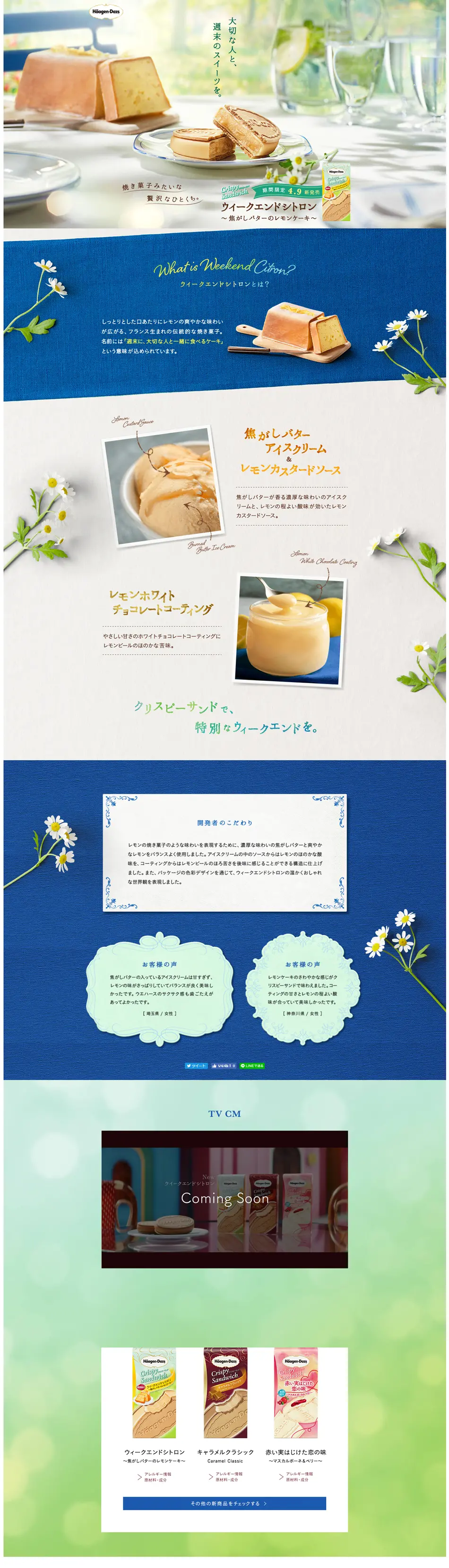 Weekend Citron LP design (Western confectionery / Shades of blue / Cute style) PC version