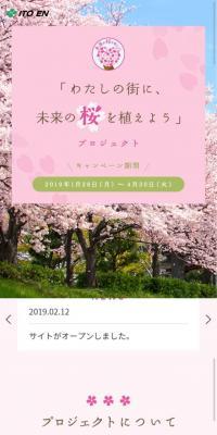 「未来の桜を植えよう」 プロジェクト