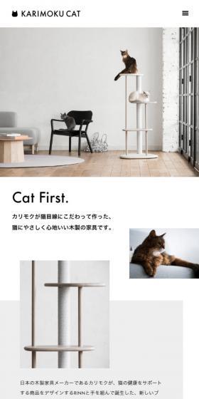 Cat First.