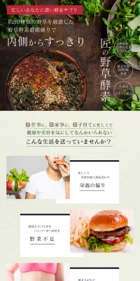 匠の野菜酵素のLPデザイン（健康・美容食品・サプリ／ベージュ系／健康・癒し系）PC版