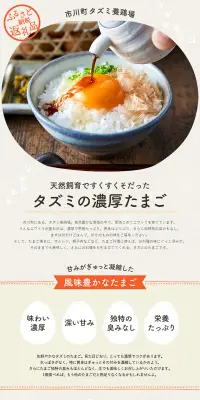 タズミのたまごのLPデザイン（食品／ベージュ系／キレイ系）PC版