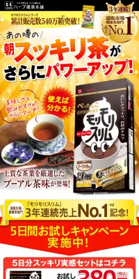 モリモリスリムのLPデザイン（健康・美容食品・サプリ／オレンジ系／にぎやか系）PC版