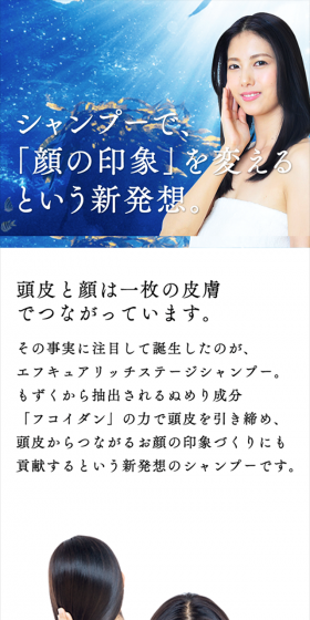 F-Cure Rich Stage Shampoo LP design (Beauty, Skincare, Fragrance / Shades of blue / Refined style) Mobile version