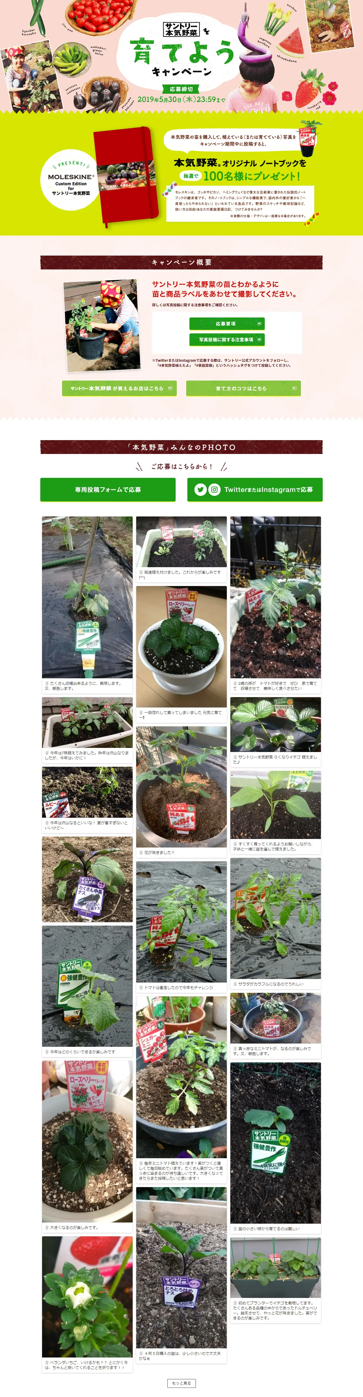 Suntory Honki Yasai Grow-Your-Own Campaign LP design (Services, Insurance, and Finance / Green tones / Health and Wellness) PC version
