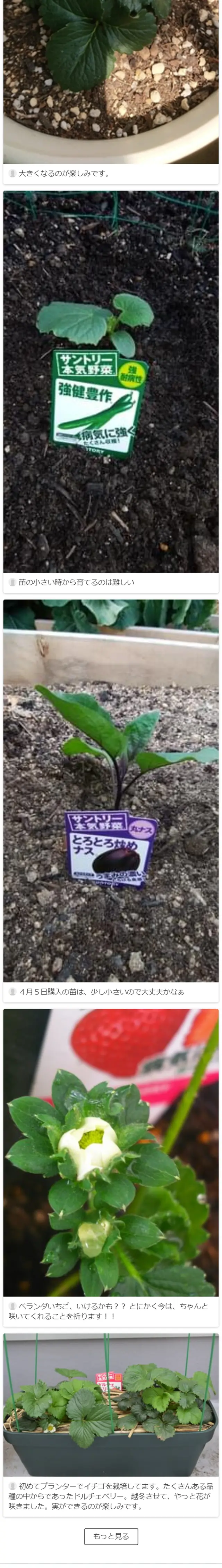 Suntory Honki Yasai Grow-Your-Own Campaign LP design (Services, Insurance, and Finance / Green tones / Health and Wellness) Mobile version