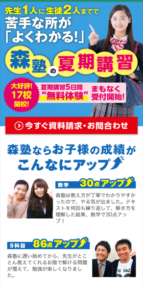 2019 Summer Course LP design (Learning Materials / Shades of blue / Lively type) Mobile version