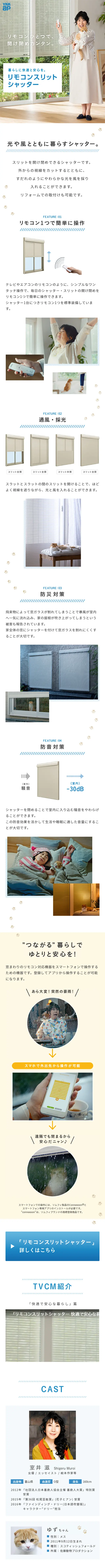 Remote Control Slit Shutter LP design (Housing and Real Estate / Shades of blue / Simple) Mobile version