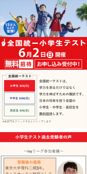 National United Elementary School Test LP design (Learning Materials / Red tones / Simple) Mobile version