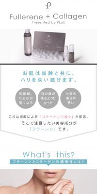 Fullerene_Collagen Presented by PLuS