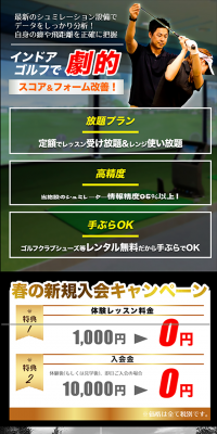 Simulation Golf
