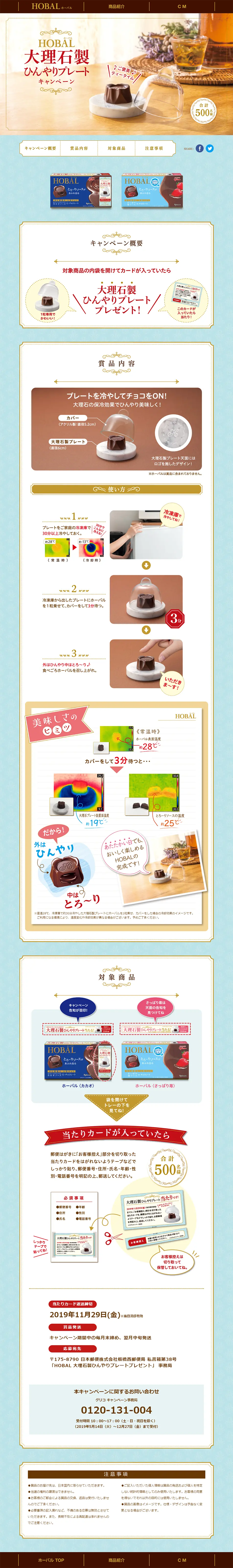 HOBALのLPデザイン（サービス・保険・金融／ブラウン系）PC版