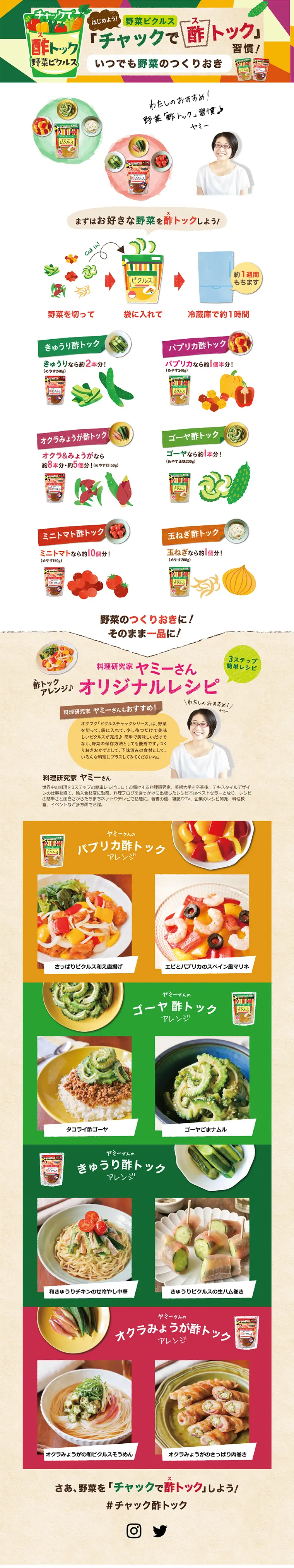 ピクルスチャックシリーズのLPデザイン（食品／カラフル系／キレイ系）PC版