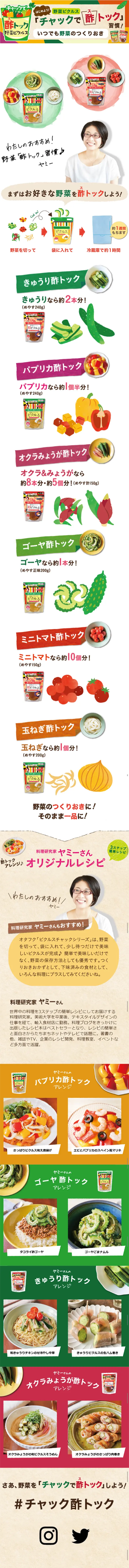 ピクルスチャックシリーズのLPデザイン（食品／カラフル系／キレイ系）スマホ版