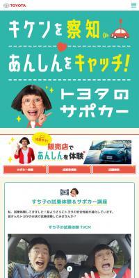 Safety Support Car