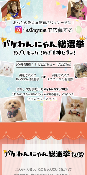 Pakewannyan Sōsenkyo LP design (Services, Insurance, and Finance / Beige tones / Cute style) Mobile version