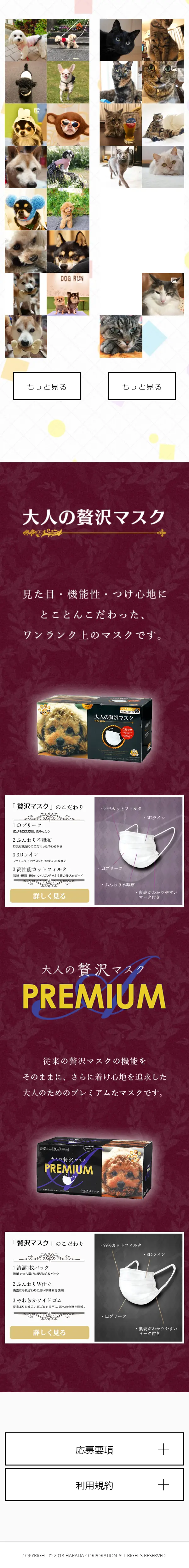 Pakewannyan Sōsenkyo LP design (Services, Insurance, and Finance / Beige tones / Cute style) Mobile version