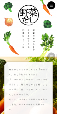 Kagome Vegetable Broth