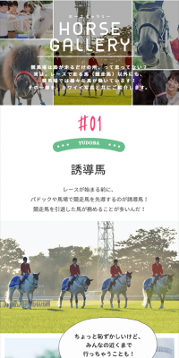 Horse Gallery