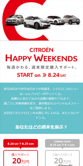 週末限定のスペシャルオファーのLPデザイン（サービス・保険・金融／ホワイト系／シンプル系）スマホ版
