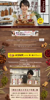 マクロビ派ビスケットのLPデザイン（健康・美容食品・サプリ／ブラウン系／健康・癒し系）PC版