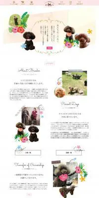 トイプードルのLPデザイン（ペット・花・DIY工具／ホワイト系／かわいい系）PC版