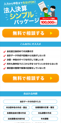 Corporate Tax Filing Simple Package