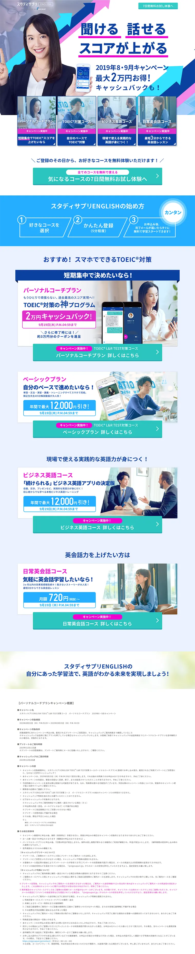 Introducing our Special Campaign LP design (Internet service / Shades of blue / Refined style) PC version