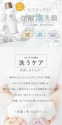 Carbonated Foam Face Wash Shirukī Hoippu