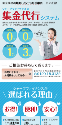 Payment Collection Agency System