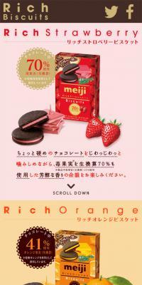 Rich Biscuit