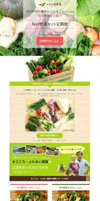 旬の野菜セット定期便のLPデザイン（食品／グリーン系／信頼・安心系）PC版