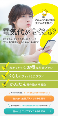 ピタでん