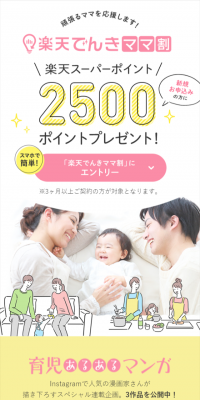 Rakuten Denki Mama-wari