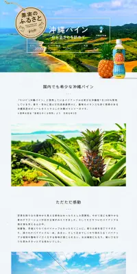 Vivit's 沖縄パイン篇のLPデザイン（飲料・お酒／ブルー系／キレイ系）PC版