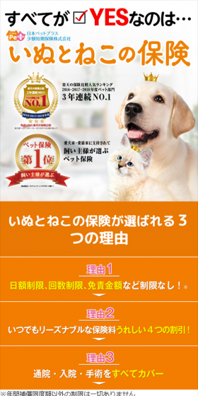Pet insurance for dogs and cats LP design (Services, Insurance, and Finance / Orange tones / Trust and Safety) Mobile version