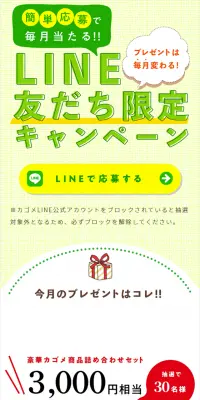 簡単応募で毎月当たる”LINE友だち限定キャンペーン｜のLPデザイン（サービス・保険・金融／グリーン系／爽やか系）スマホ版