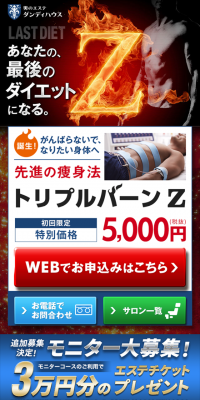 トリプルバーンZ