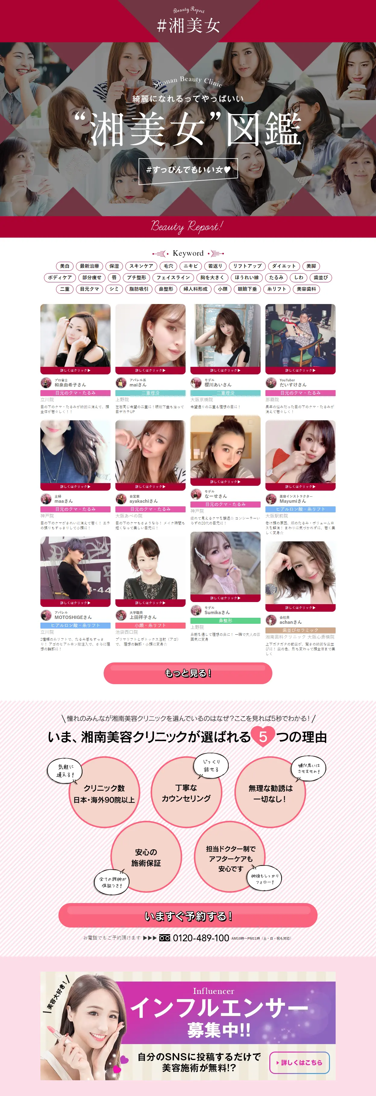 Shobijyo Zukan LP design (Internet service / Red tones / Refined style) PC version