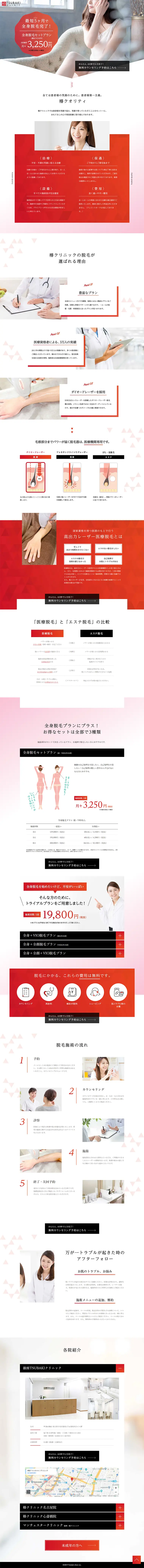 Medical Laser Hair Removal LP design (Beauty services / Red tones / Refined style) PC version