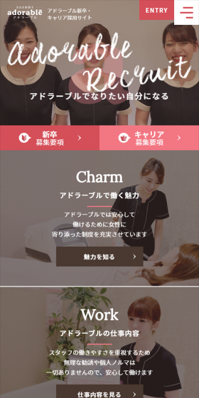 Adorable New Graduate & Career Recruitment Site LP design (Recruitment and Hiring / Pink shades / Simple) Mobile version